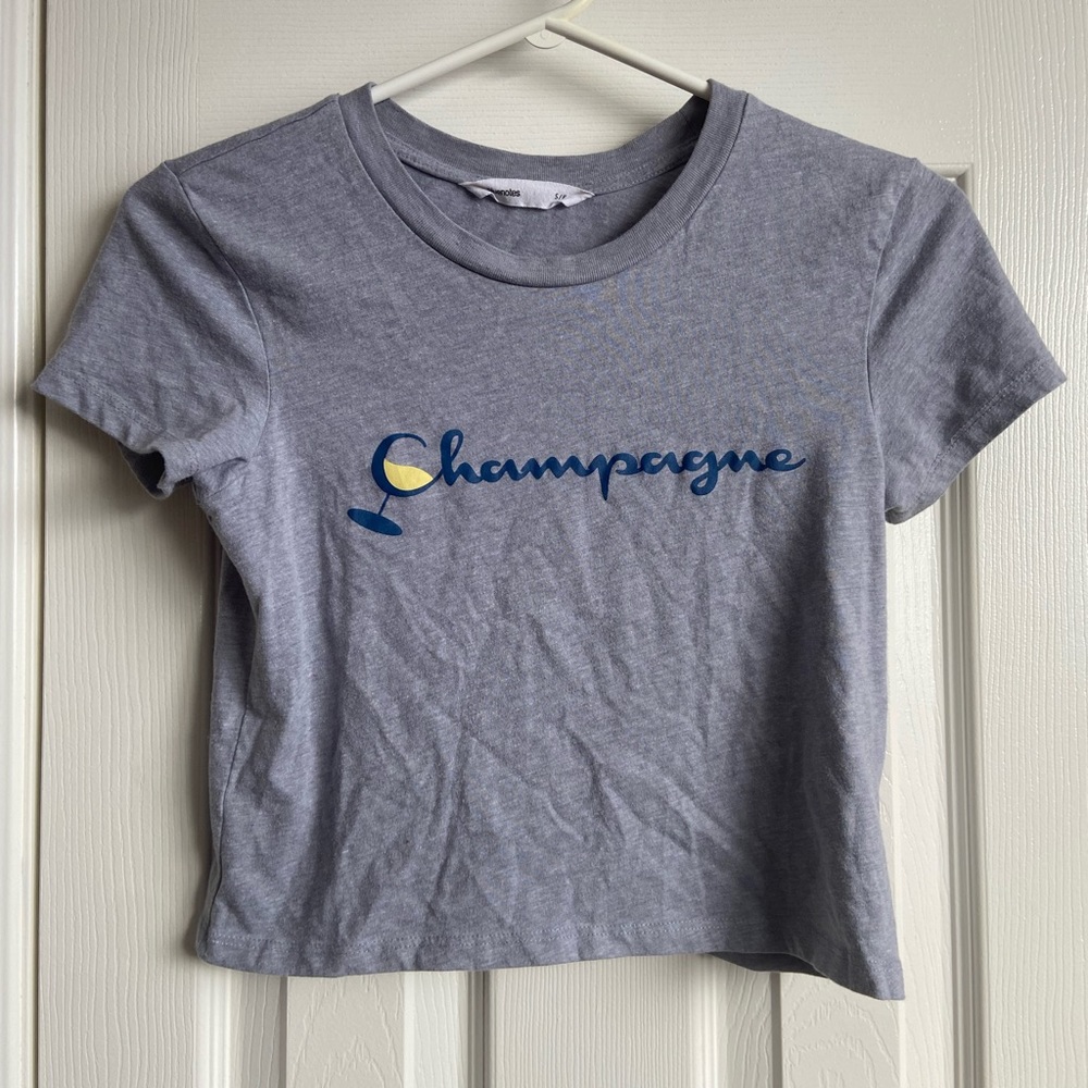 Grey Champagne Crop Top